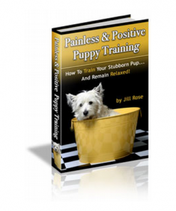 2 Hours to a Trained Puppy