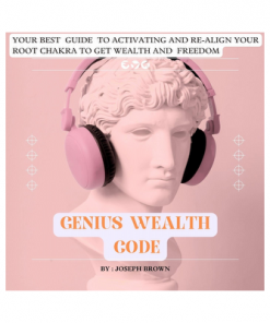 The Genius Wealth Code