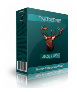 Taxidermy made easy