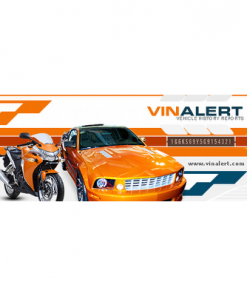 AmericanVIN CHECK Reports