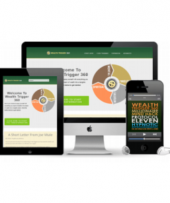 Wealth Mental Reprogramming