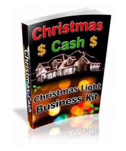 Christmas Light Business