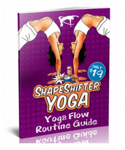 Kris Fondran's ShapeShifter Yoga