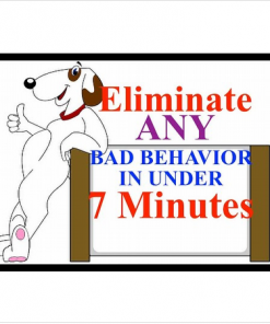 The Great Dog Training Secrets