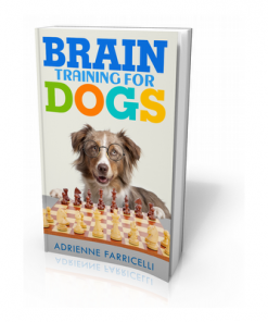 Brain Training For Dogs