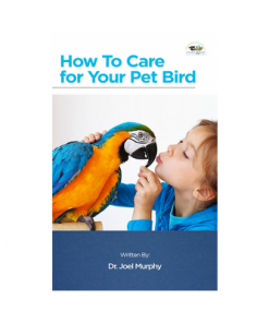 Care For Your Pet Bird