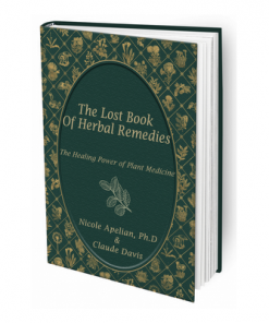 The Lost Book Of Remedies