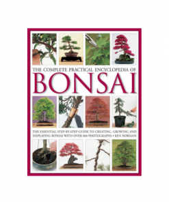 Add Years To Your Bonsai Tree