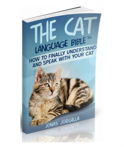 How To Finally Speak Cat