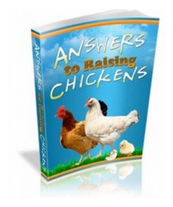 Answers to raising chickens