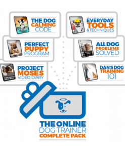 Transform Your Dog To Your Best Friend