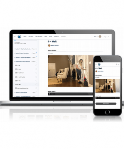 Small Dog Training Made Easy