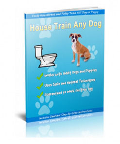 Housetrain any dog