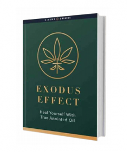 Secret Recipe For Sacred Anointed Oil