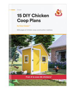 Live An Eco-Organic Lifestyle.