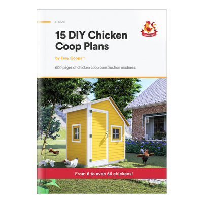 Live An Eco-Organic Lifestyle.