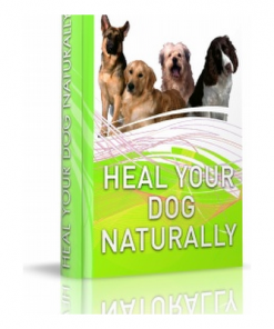 Heal Your Dog Naturally
