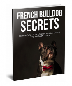 French Bulldog Secrets