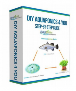 Growing Organic Food The Smart Way