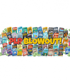 Get Your Instant Niche Business Kit