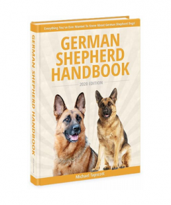Become Best Friend With Your GSD