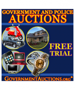 Guide To Government Auctions