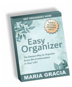 Easy organizer
