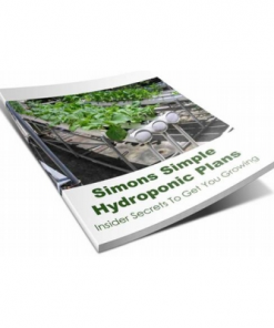 Hydroponics grow box