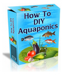 How to DIY Aquaponics