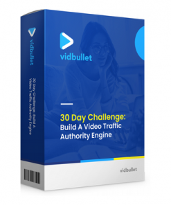 Make Money From VidBullets