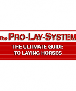 A professional laying service