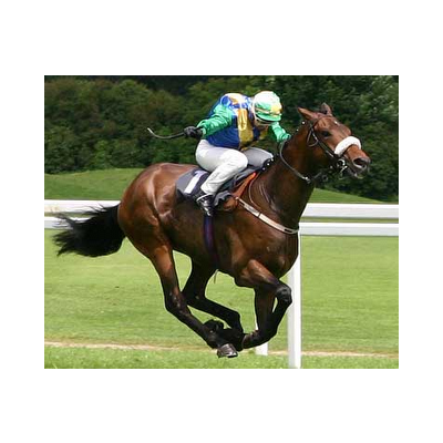 Insider Method - Racing Tiips For You