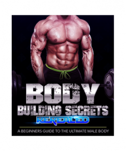 Beginner's Muscle Building Guide