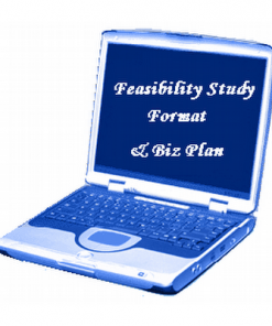 Feasibility study format
