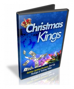 Christmas light business