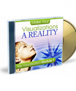 Make Your Visualizations A Reality