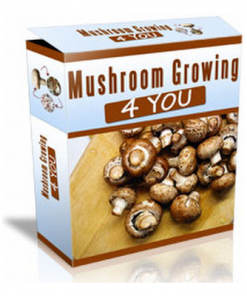 Mushroom Growing 4 You