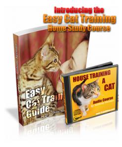 Easy Cat Training Course