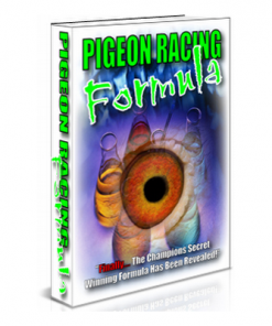 Pigeon racing guide
