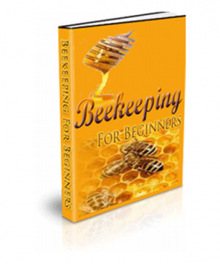Honey Bee Farming