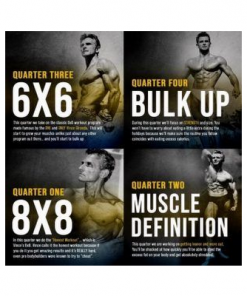 Discover Vince's Gym