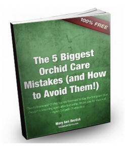 Orchid secrets revealed