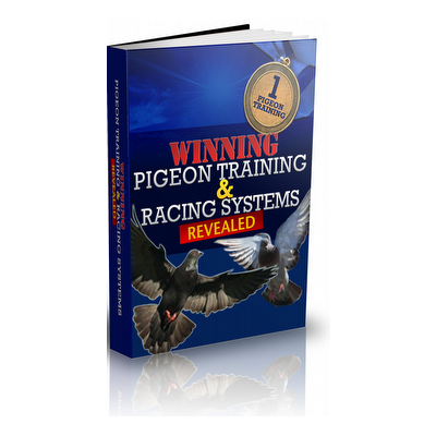 Pigeon training systems