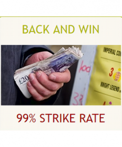 Professional Laying Tips