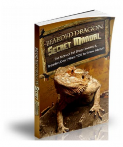 Bearded Dragon Secret Manual