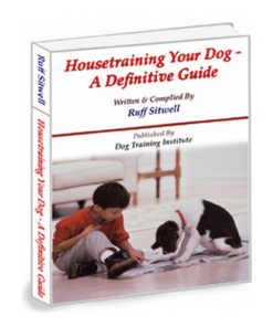 Potty Train Your Dog