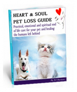 Pet Loss Grief Recovery