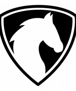 The Secret AI Code To Win Every Betting