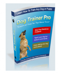 Transform Your Dog's Behavior