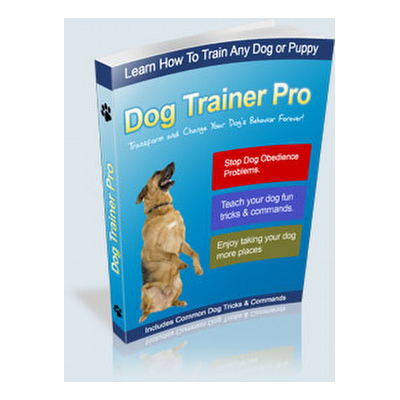 Transform Your Dog's Behavior